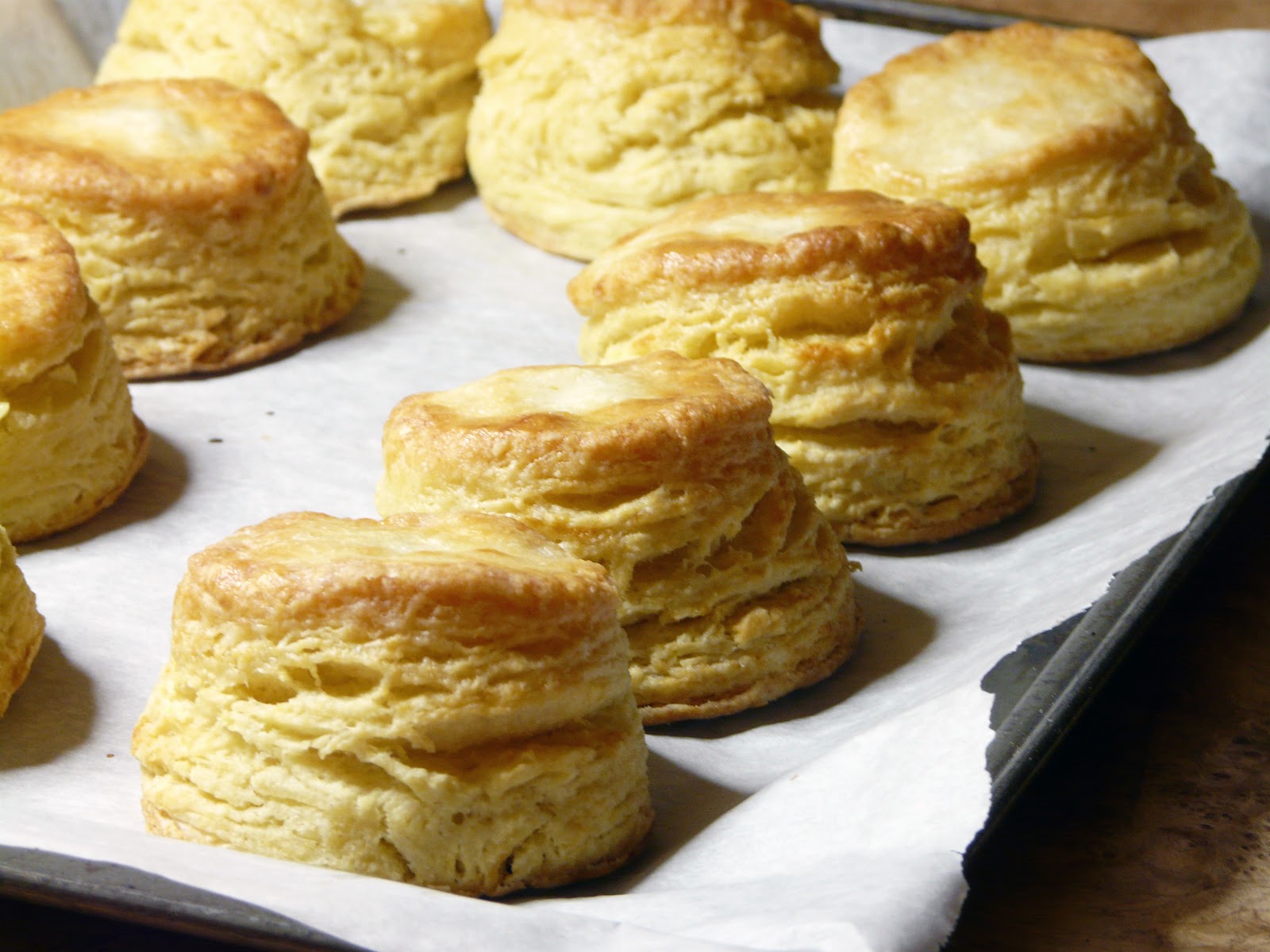 buttermilk-biscuits-november-25th-2012-1.jpg